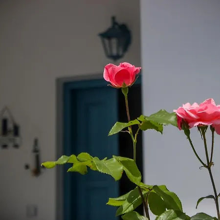 Apartman Athena's Políhrono