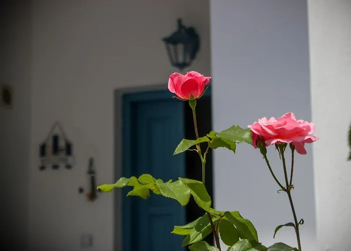 Apartament Athena's Polychrono